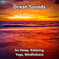 Ocean Sounds Part 20 - Coastal Sounds & Nature Sounds & Ocean Sounds