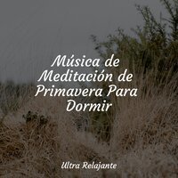 Fuera, En La Naturaleza - Zona Música Relaxante & Musica Para Dormir & Música Relajante para Bebés