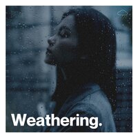 Dreamy Drizzles - The Rainforest Collective