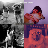 Sultry Cute Puppies - Music for Dogs Moods