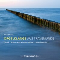 Sonata No. 4 in B-Flat Major, Op. 65: II. Andante religioso - Arvid Gast & Феликс Мендельсон