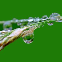 Misty Morning - It's Raining, Nursery Rhymes ABC, White Noise Research & Nursery Rhymes ABC & White Noise Research & It's Raining