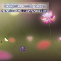 Solace in Subtle Melodies - Delightful Cuddly Sleep