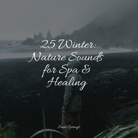 Birds at Sunset - Ambient Rain & Sons da Natureza Relax & Música para Massagem Especialistas