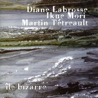Simplicia animales - Ikue Mori & Martin Tètreault & Diane Labrosse