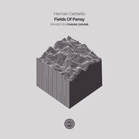 Fields Of Pansy - Hernan Cerbello & Chaum