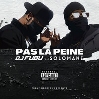 Pas la peine - DJ FUBU & Solomane