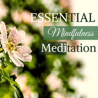 Wellness Sensation (Reiki Chakras Music) - Ludovico Piano & Piano Girls & Piano Girls & Ludovico Piano