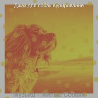 Созерцая (Собаки) - Джаз для собак Курирование