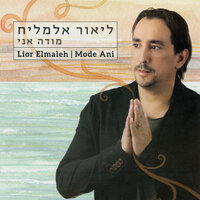 קוקטייל אל מדיוני - ליאור אלמליח