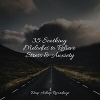 Cheerful Spirit - Native American Flute & Mindfulness Mediation World & Meditation & Stress Relief Therapy