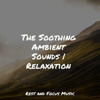 Calm Snow - Natureza Musica Bem-Estar Academia & Sleeping Music & Baby Sweet Dream