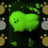 Guitar Music Soundtrack for Anxious Puppies - Relaxing Dog Music Romance