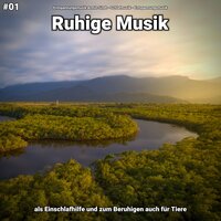 Ruhige Musik pt. 30 - Entspannungsmusik Armin Sindt & Schlafmusik & Entspannungsmusik