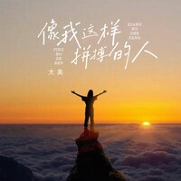 像我这样拼搏的人 - 大美