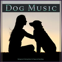 Soothing Guitar Music for Dogs - Dog Music & Calming Music for Dogs & Pet Care Club