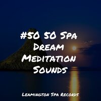 Sleeping Music - Sonidos De La Naturaleza & Amazing Spa Music & Academia de Meditação Buddha