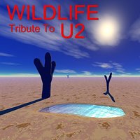 New Year's Day - Wildlife