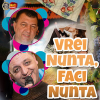 Sa Ajungem Devreme Acasa - Coco de la Slatina