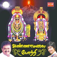 Annamalai Perai - Anuradha Sriram