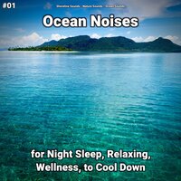 Ocean Noises Part 22 - shoreline sounds & Nature Sounds & Ocean Sounds