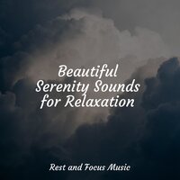 Be My Way - Schlaflieder Für Kinder & Meditation Music Experience & The Sleep Specialist