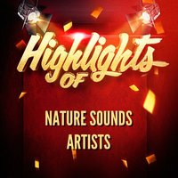 Sounds from the sea 3 : breaking waves - Nature Sounds Artists