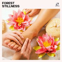 Relaxing Music - Spa Music Relaxation Therapy & Ambient Music Collective & Serenity Spa Music Relaxation & Spa Dreams Oasis