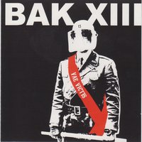 Media Control - BAK XIII