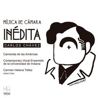 Exágonos: I. Amar. Toda la vida en llamas... - Lourdes Ambriz
