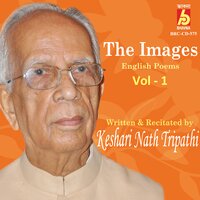Retirement - Keshari Nath Tripathi