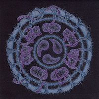 Hypnopomp - Evan Marc & Steve Hillage