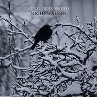 DARKNESS - Ketil Bjørnstad