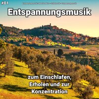 Spa Musik - Entspannungsmusik & Schlafmusik & Entspannungsmusik Sebastian Noiro