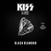 Tears Are Falling - Kiss