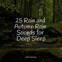 Rainy Beach - Tranquil Music Sounds of Nature & Restaurant Background Music & Nature Soundscape