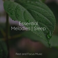 Sleep That Beckons - Monarch Baby Lullaby Institute & Sleep Music & Música para Massagem Especialistas