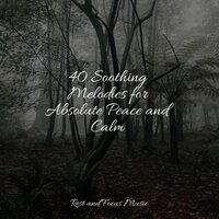 Soothe My Soul - White Noise Relaxation & Yoga Namaste & Binaural Beats Isochronic Tones Lab