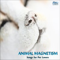 Henry Lizzardlover - Animal Magnetism