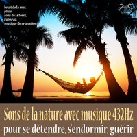 Sons de la nature de la maison et musique de relaxation en 432Hz, Sommeil sain, partie 13 - Max Relâchement & Torsten Abrolat & SyncSouls