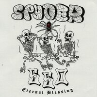 GIMI SUM - SPYDER550