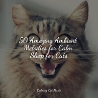 Stress Removal - Music for Dogs Collective & Pet Care Music Therapy & Dog Music Club