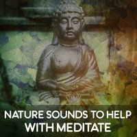 Serenity and Harmony - Meditation Spa Society