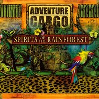 Night Flight - Diane Arkenstone