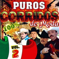 Esta de Parranda el Jefe - El As De La Sierra