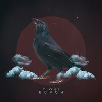 Ворон - T1One