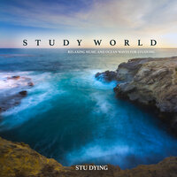 Simplicity of Serenity - Stu Dying
