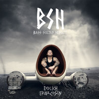 Frauen und Rabauken - Bass Sultan Hengzt & B.S.H