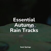 Stormy, Rainy Night - Lullaby Rain & Sounds of Nature: Thunderstorm, Rain & Spa Zen