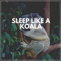 Derive - Sleep Music Library